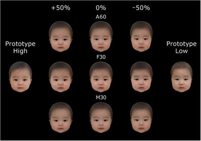 Creation and Validation of the Japanese Cute Infant Face (JCIF) Dataset